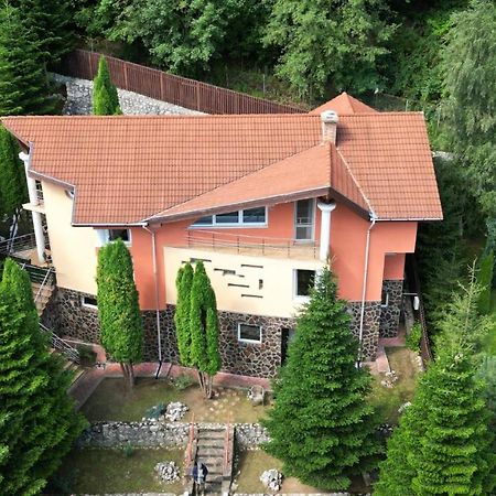 Marble Villa: Luxury Estate - Central But Intimate Sinaia Exterior foto